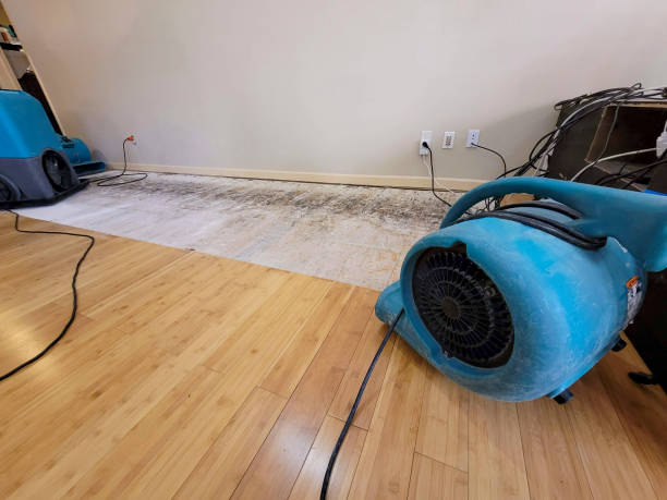 Professional Basement Flood Cleanup technician working in Columbus, MS